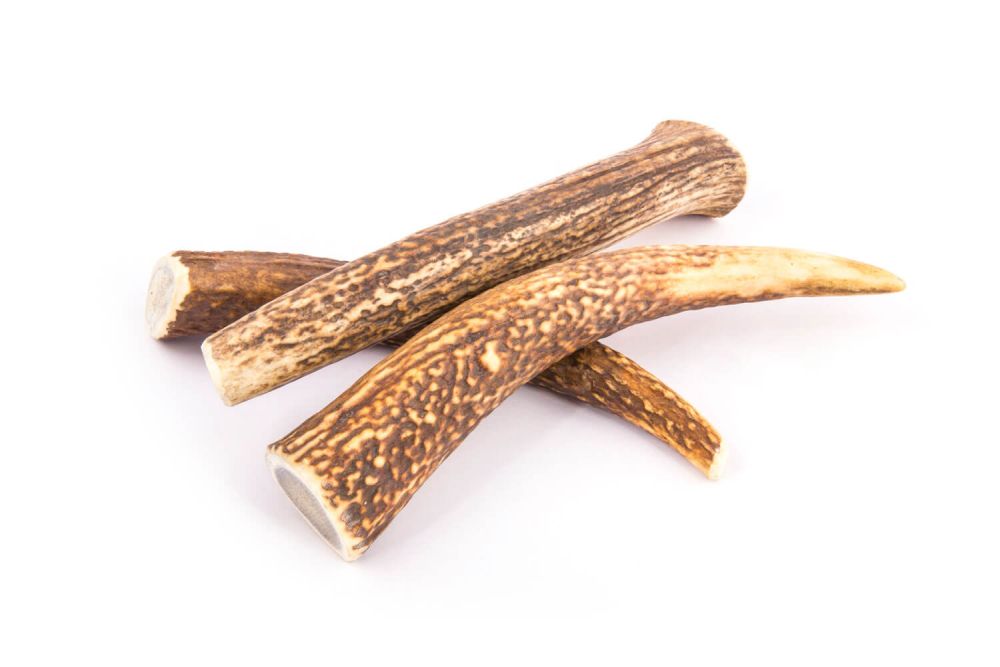 Ready made antler chews for dogs