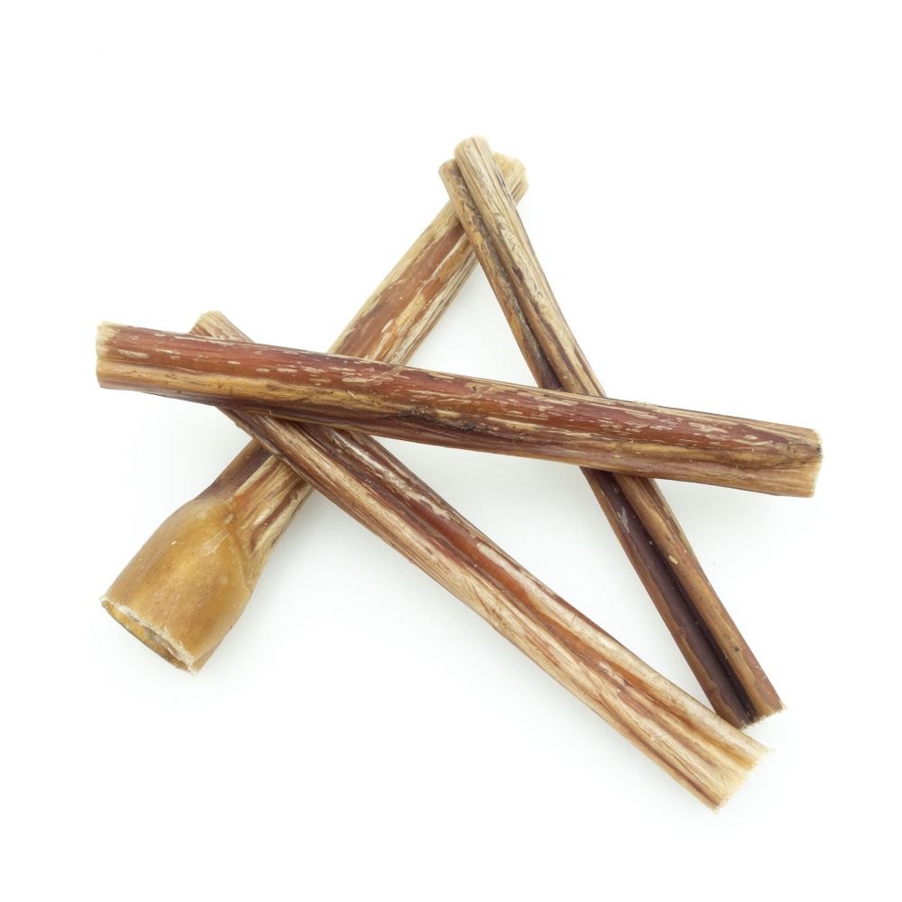 Bully stick clearance pizzle